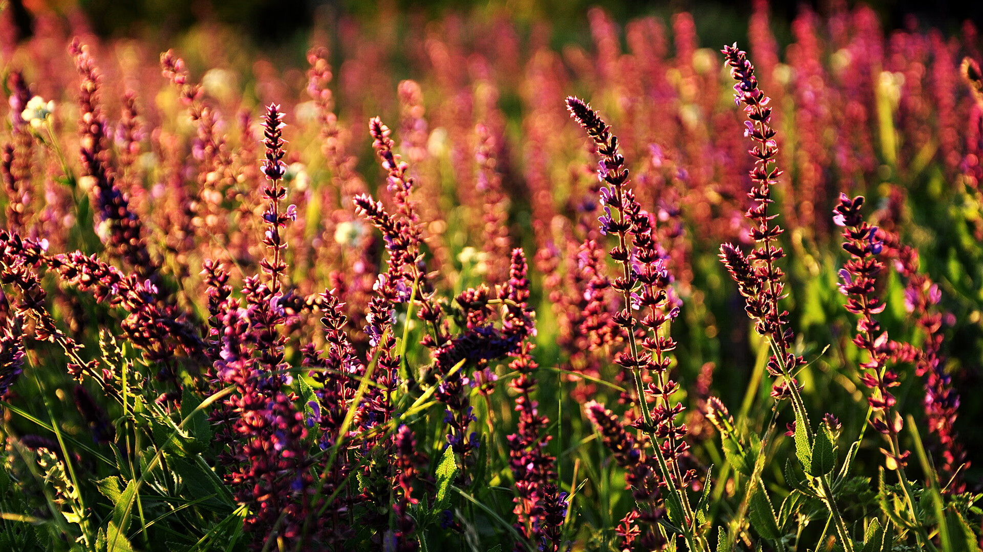 九游网页版官网-“青少年足球技能大赛激烈角逐，弘扬拼搏精神”，青少年足球实战智慧