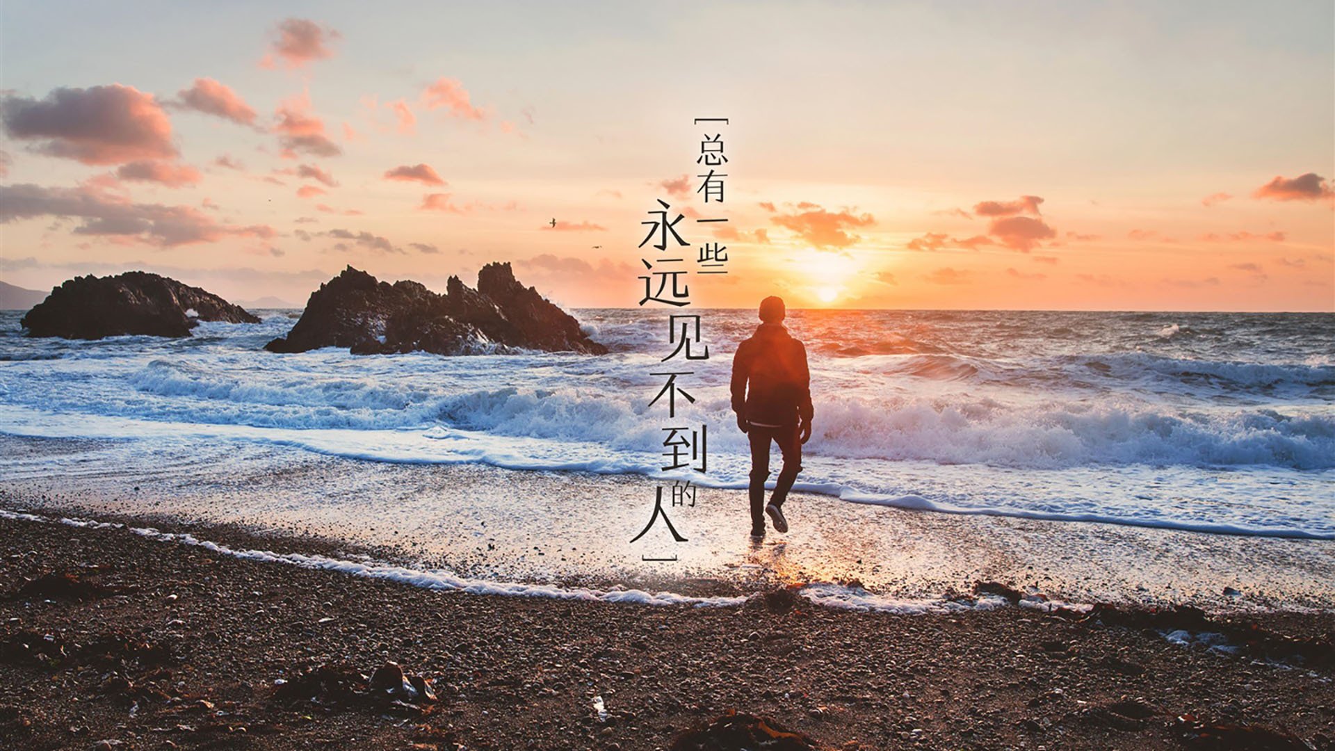 女子拳击赛:力量与智慧的共舞,女子拳击表演赛3完整版