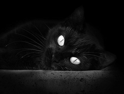 青训全面升级:未来巨星的孵化基地建设正在进行中,2021青训营