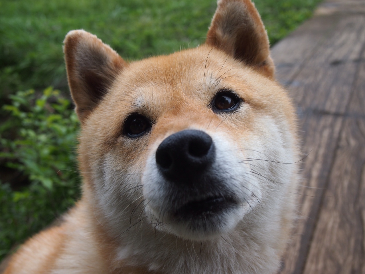 九游下载安装-中国足球训练营引进海外心理辅导团队，中国足协足球训练中心