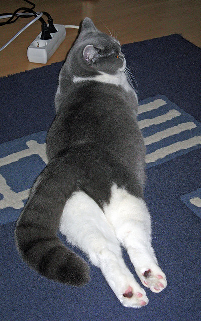 九游娱乐APP-中国足球联赛各队表现出色，战绩屡创佳绩，中国国内足球联赛