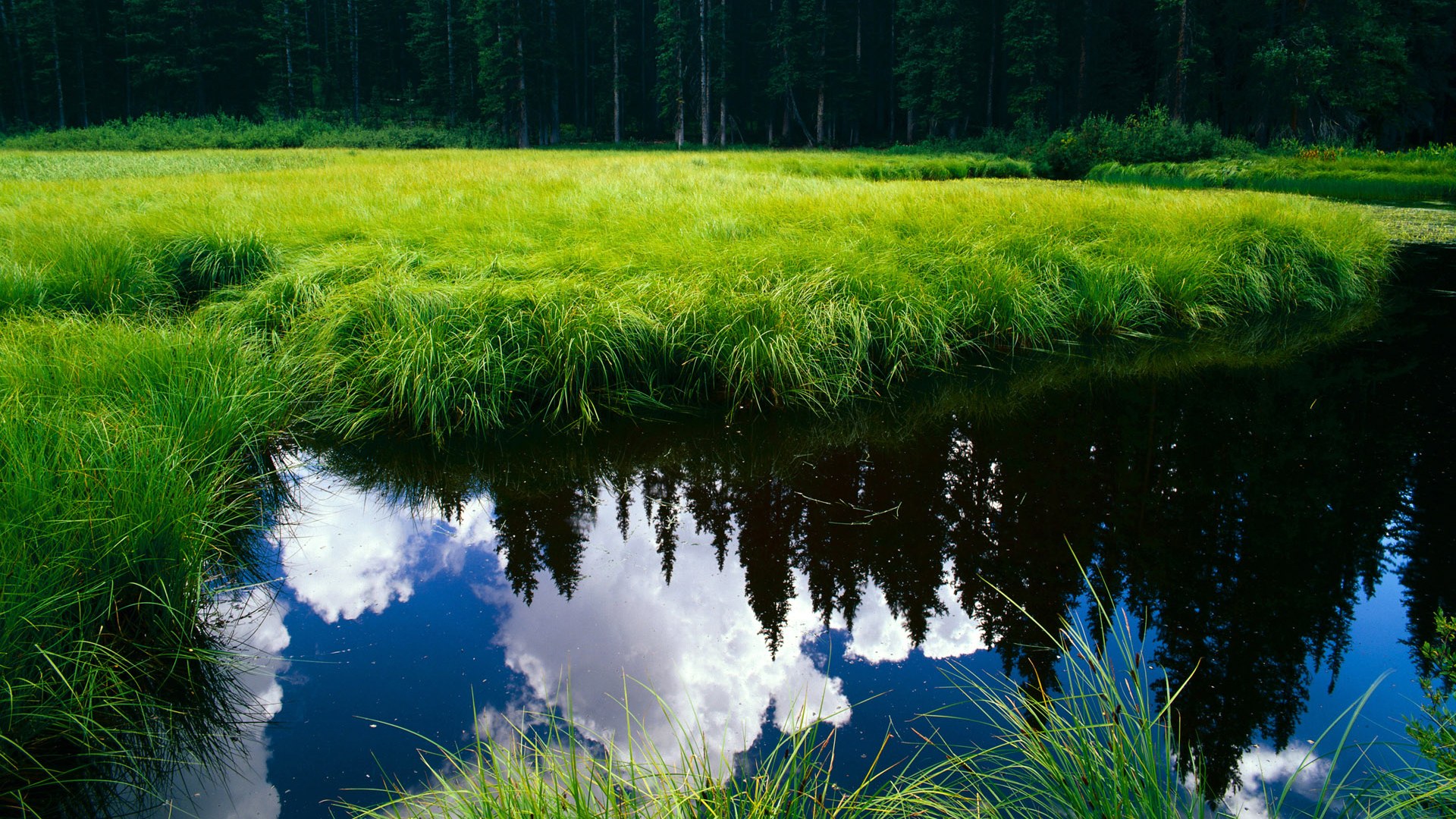 九游电脑版-同曦队全队士气高涨备战新赛季，同曦队排名