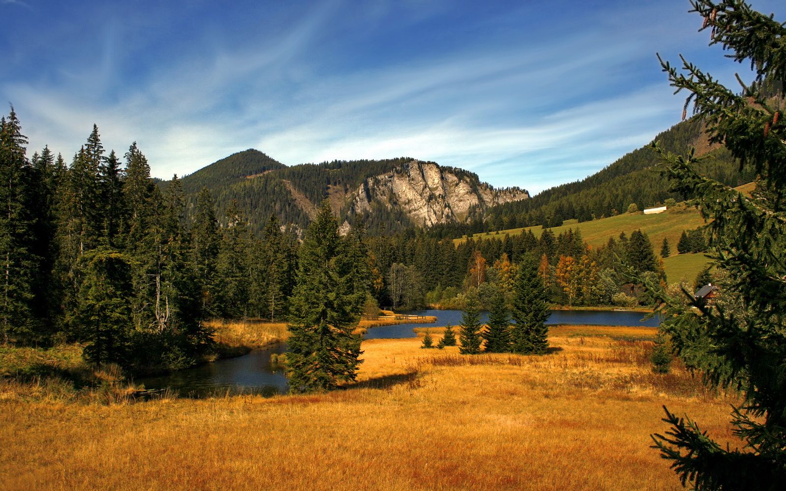 德国队展现实力，强势进军下一轮，德国队什么