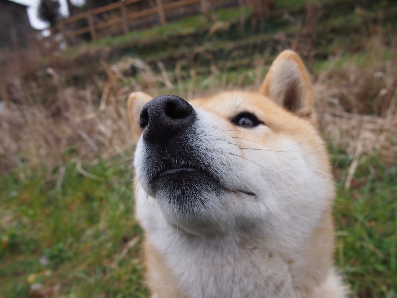 曼城遭遇平局,需打响关键次回合,曼城打破多项记录