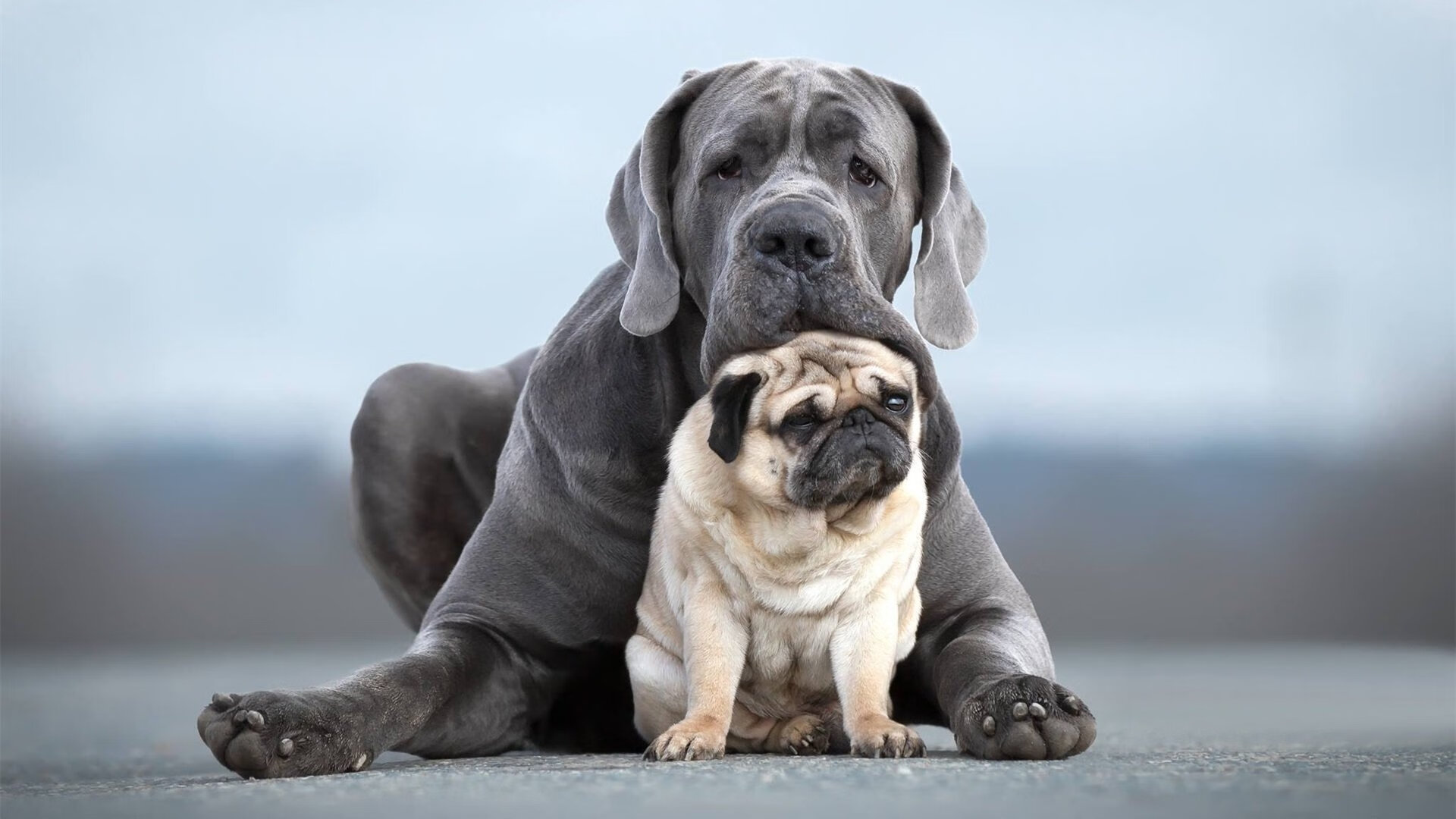 米兰冲击联赛前三,米兰冲击联赛前三排名