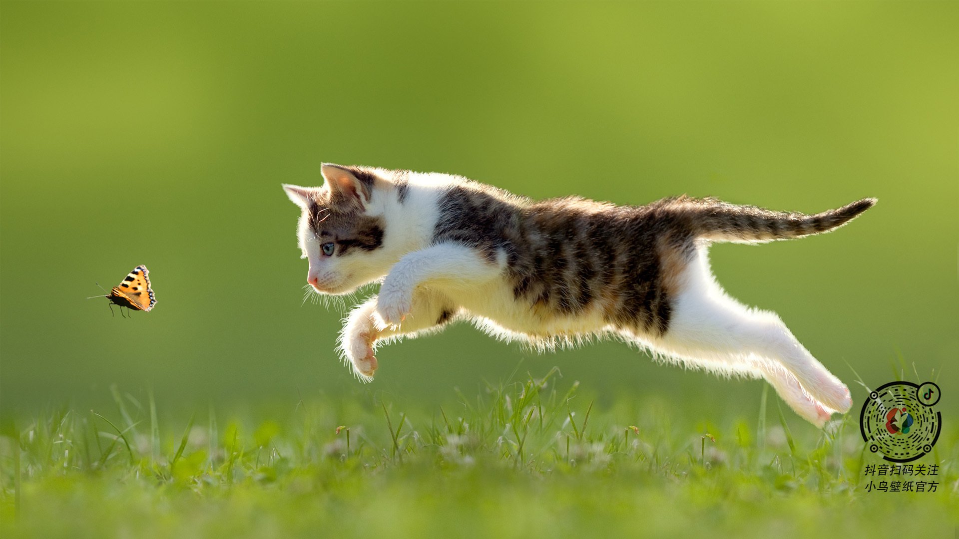 欧洲冠军联赛：小组赛进入白热化阶段，欧洲冠军联赛分组