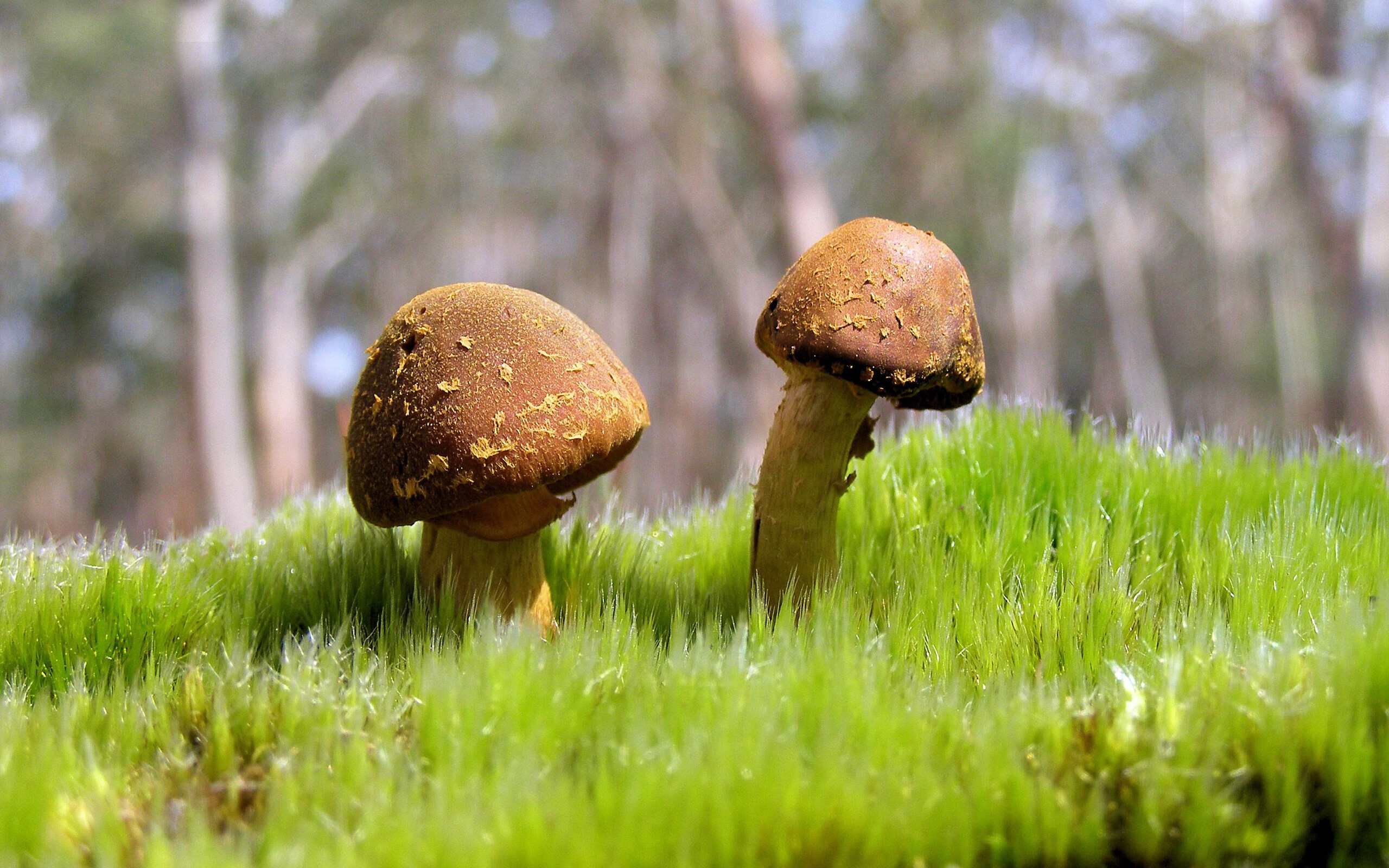 九游娱乐官网 (JIUYOU)-运动科技推动青少年体育训练模式变革，青少年体育技能