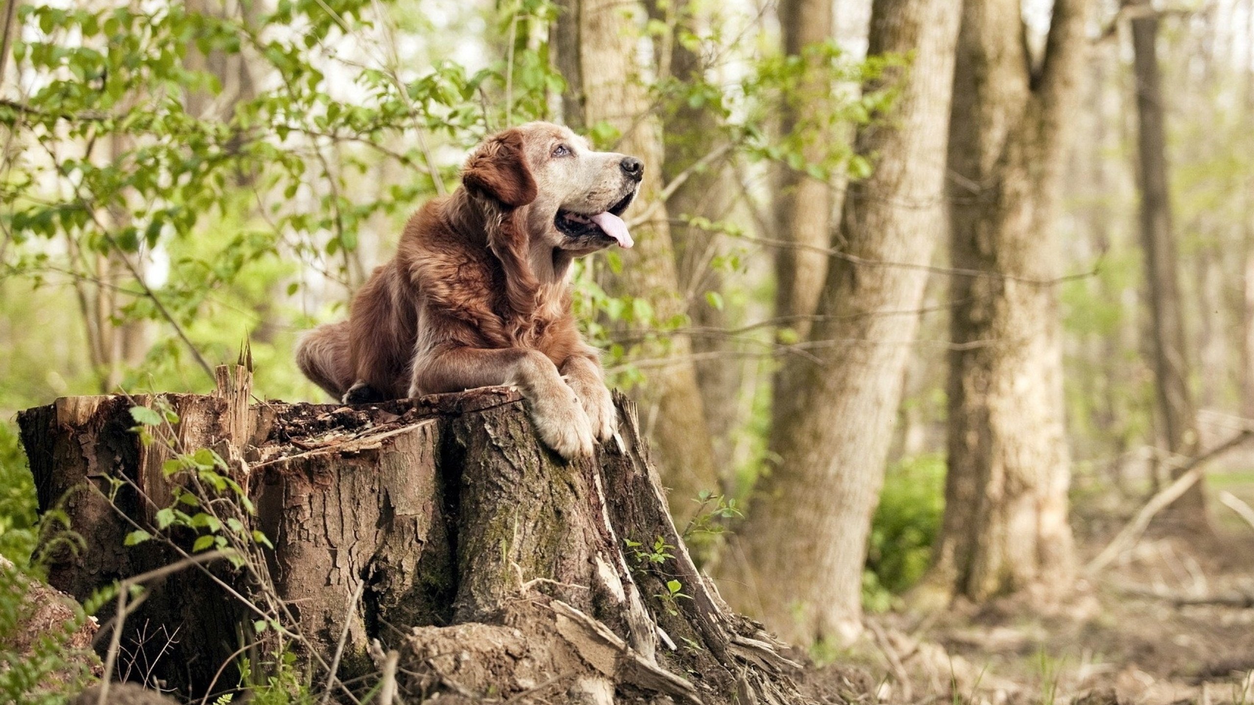 九游下载安装-世界足球顶级教练研讨会顺利召开，2021世界足球教练
