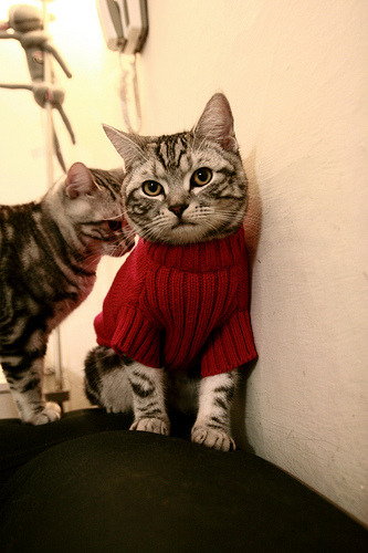 九游-凯瑟琳·伯科夫技术细腻动作流畅，凯瑟琳波克瓦克报道